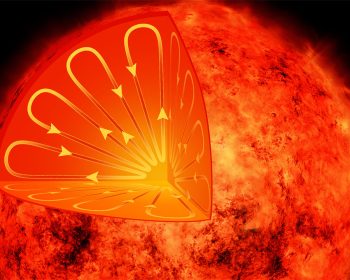 A low-mass red dwarf star about 31 light years away from Earth.